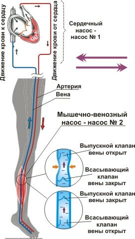 ������� 1.1