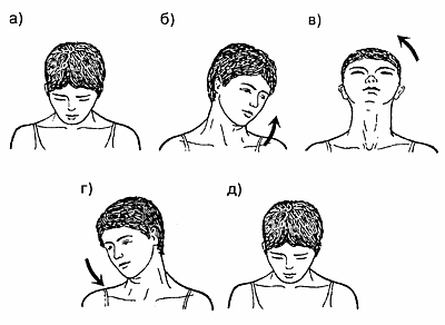 Рис. 9. Круговые движения головой